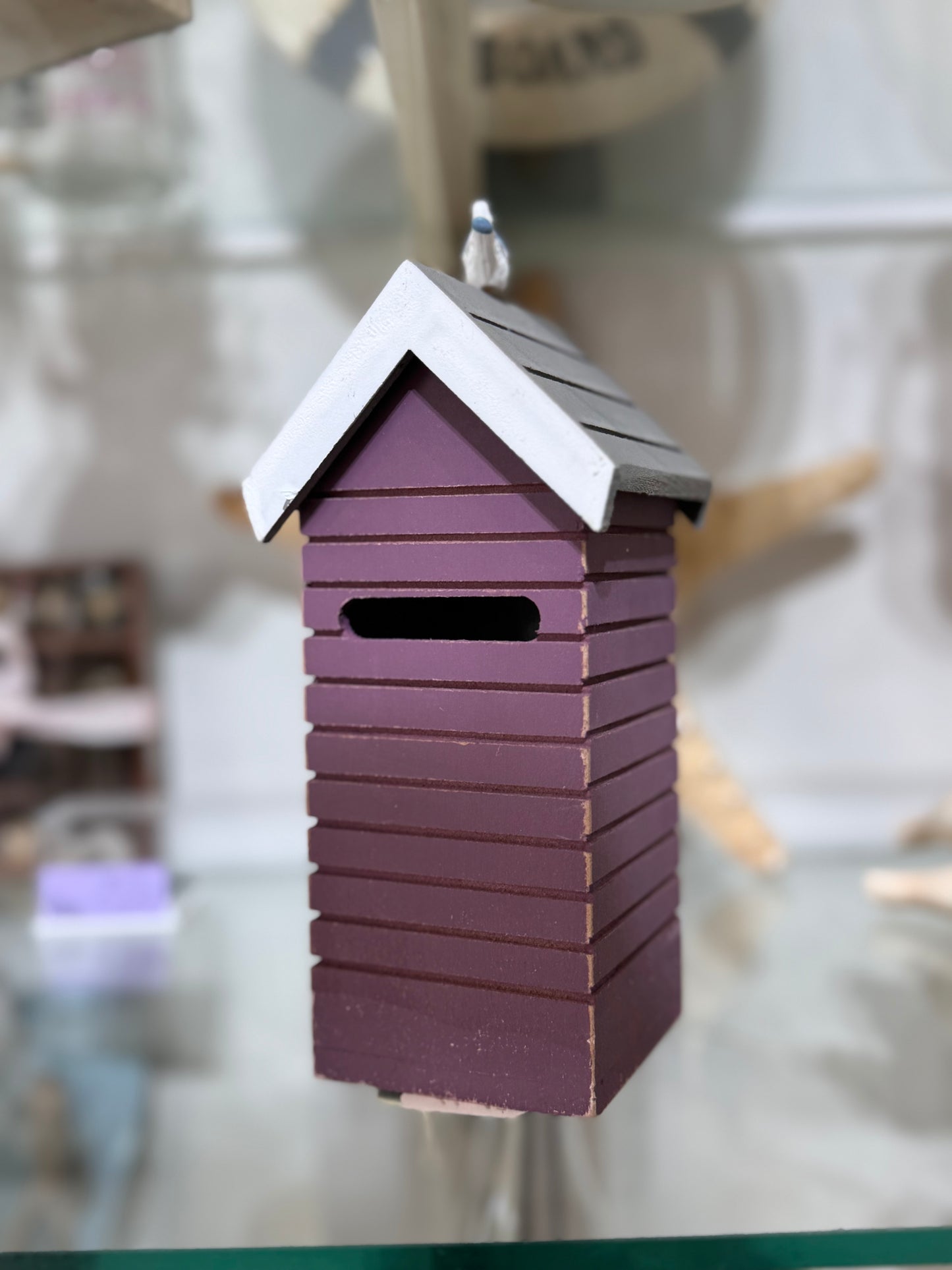 Skinny Beach Hut money box with novelty seagull